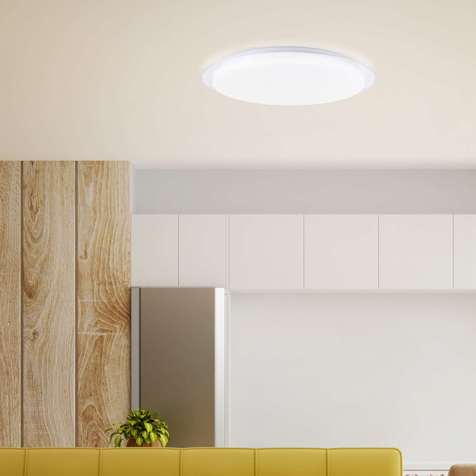             Plastic wall and ceiling light - Theo 1 - White
        