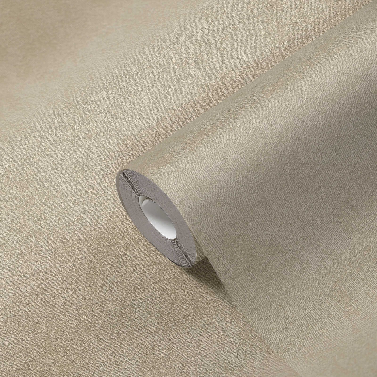             Plain non-woven wallpaper with fine texture - beige
        