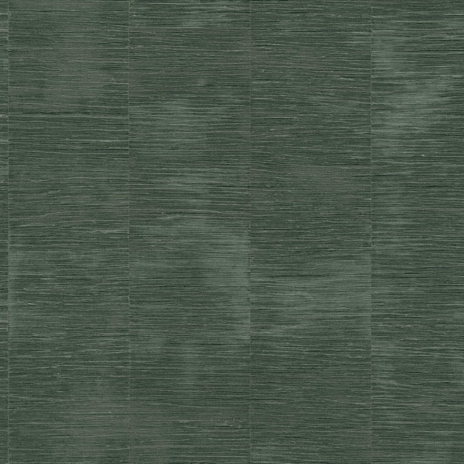 Daniel Hechter textured non-woven wallpaper in an abstract bamboo look - green
