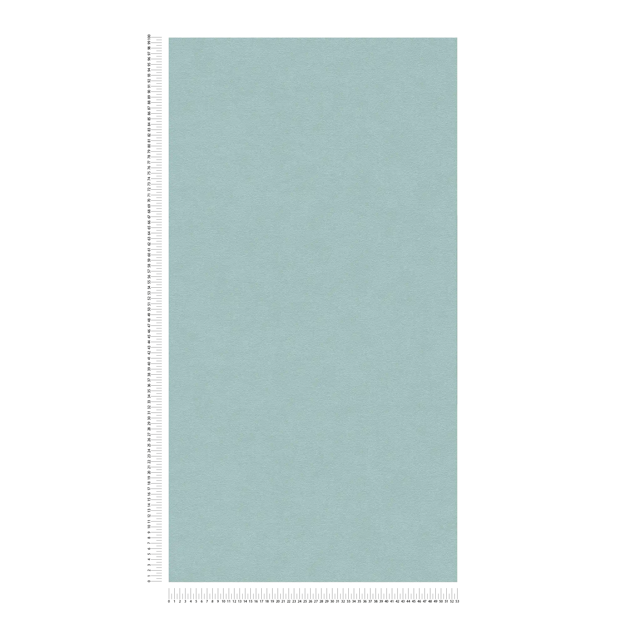             Single-coloured non-woven wallpaper with a subtle surface texture - blue, green
        