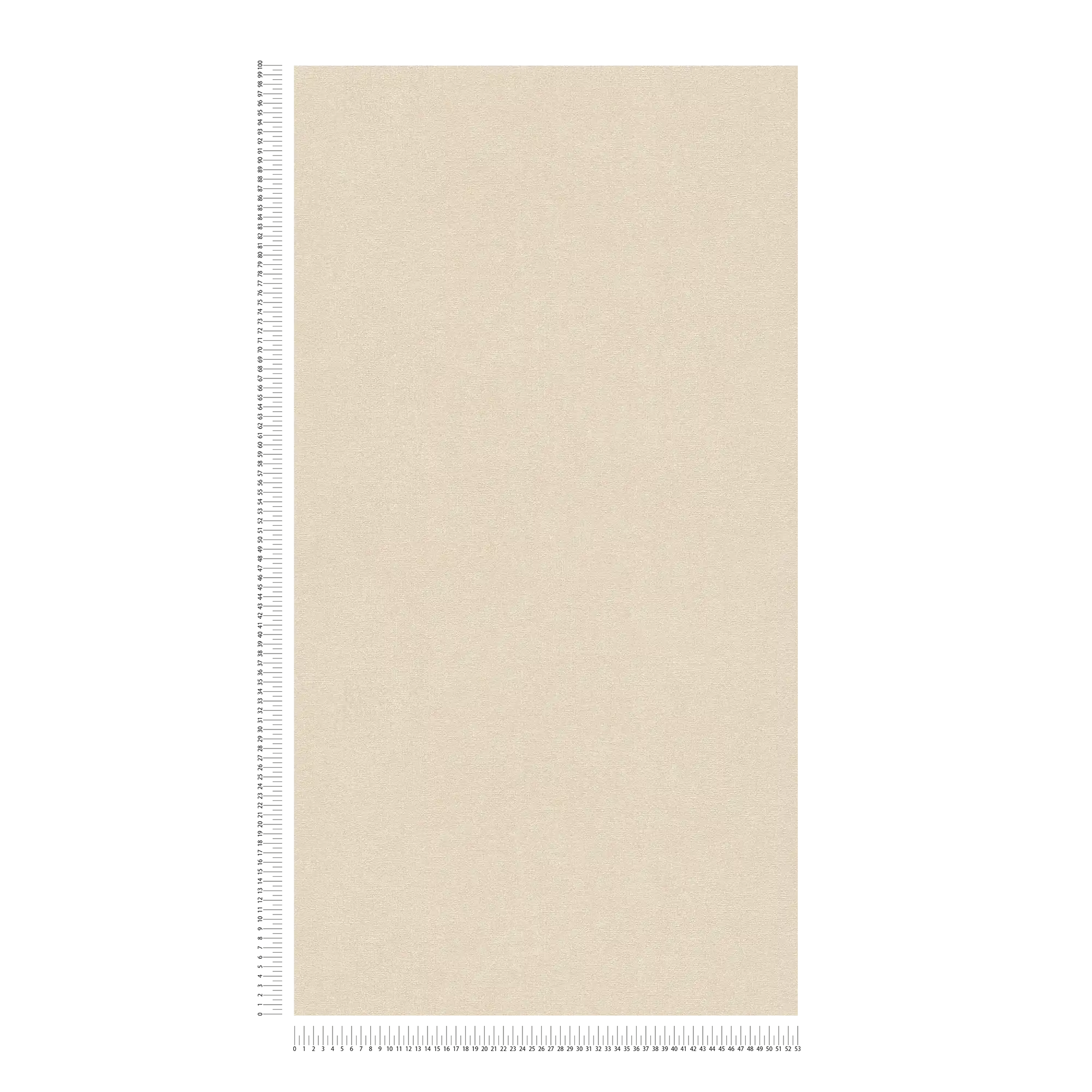             Carta da parati in tessuto non tessuto con struttura fine - crema, beige
        