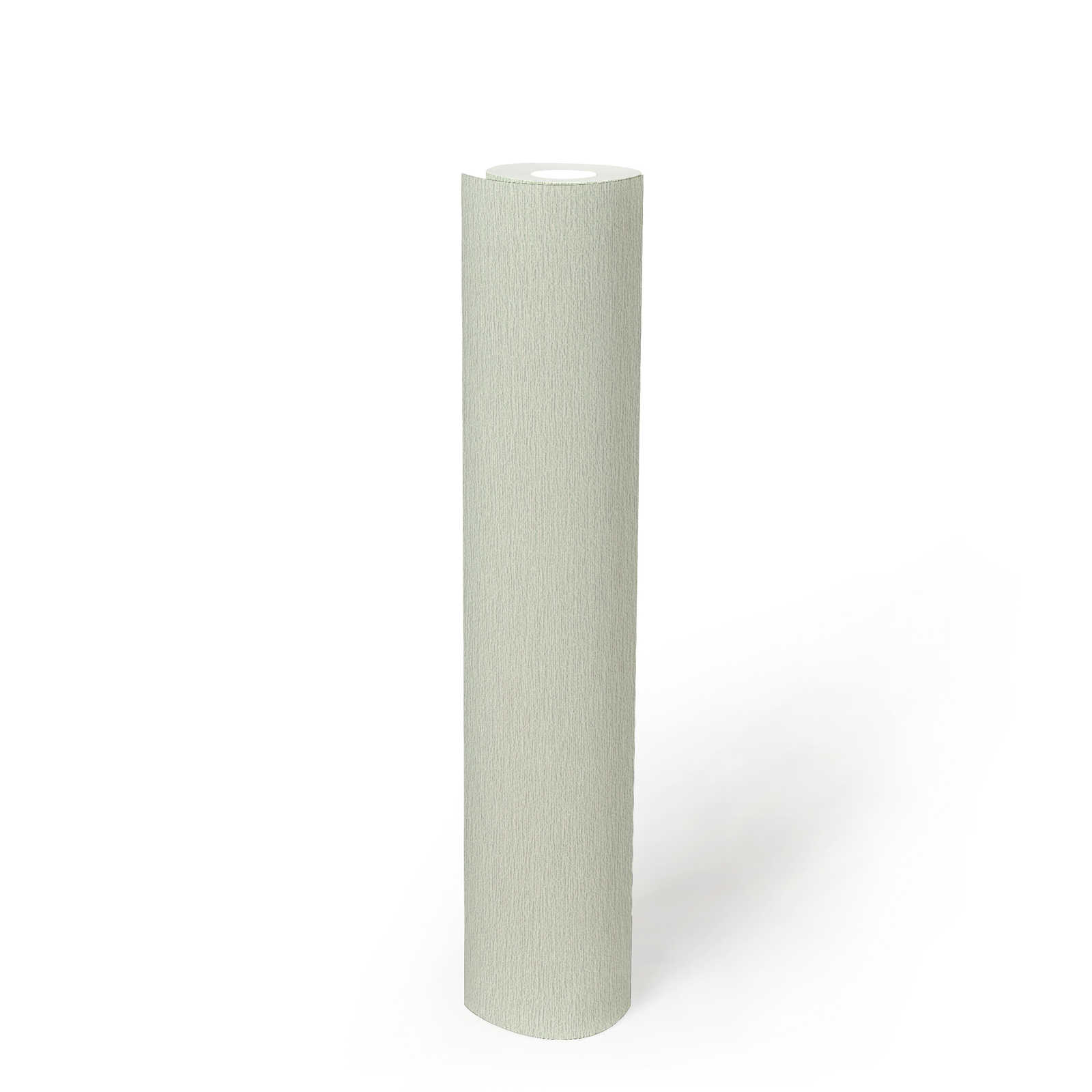             Single-coloured non-woven wallpaper with a light texture - light green
        