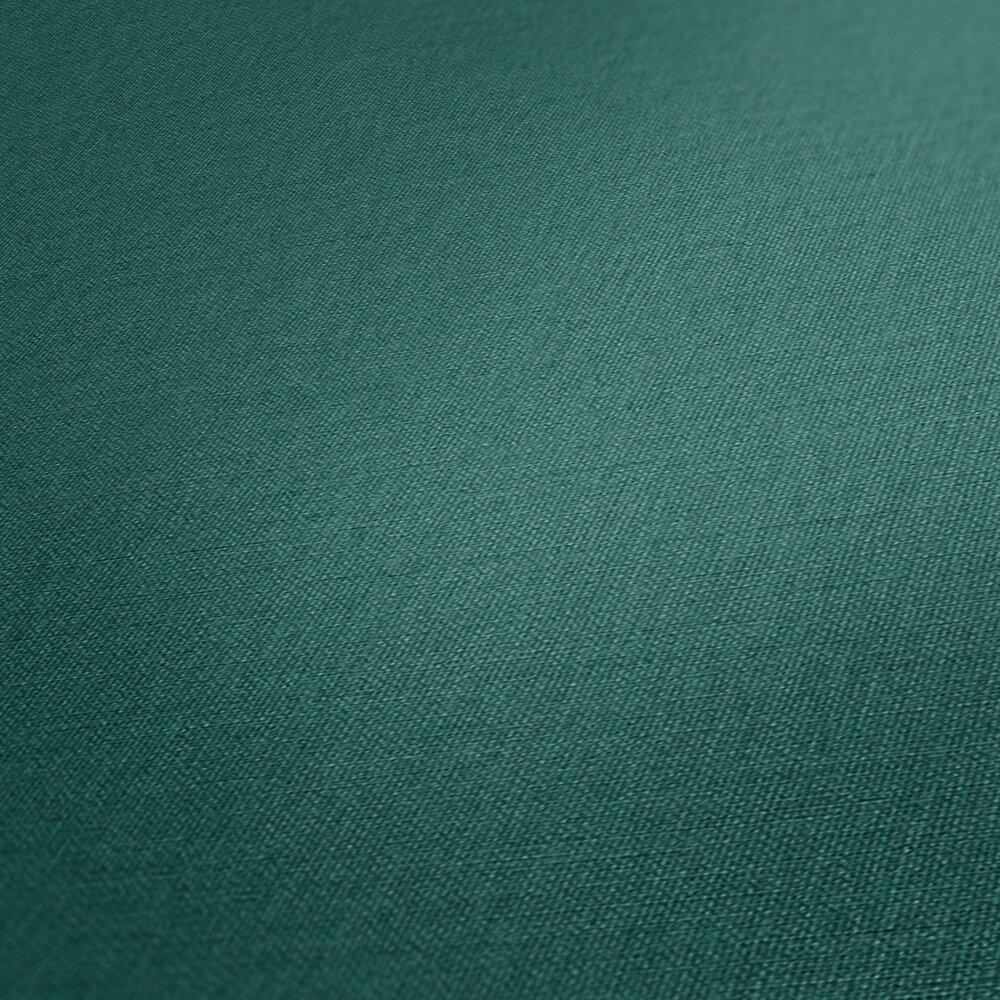             Plain-coloured non-woven wallpaper in matt look - blue, green
        