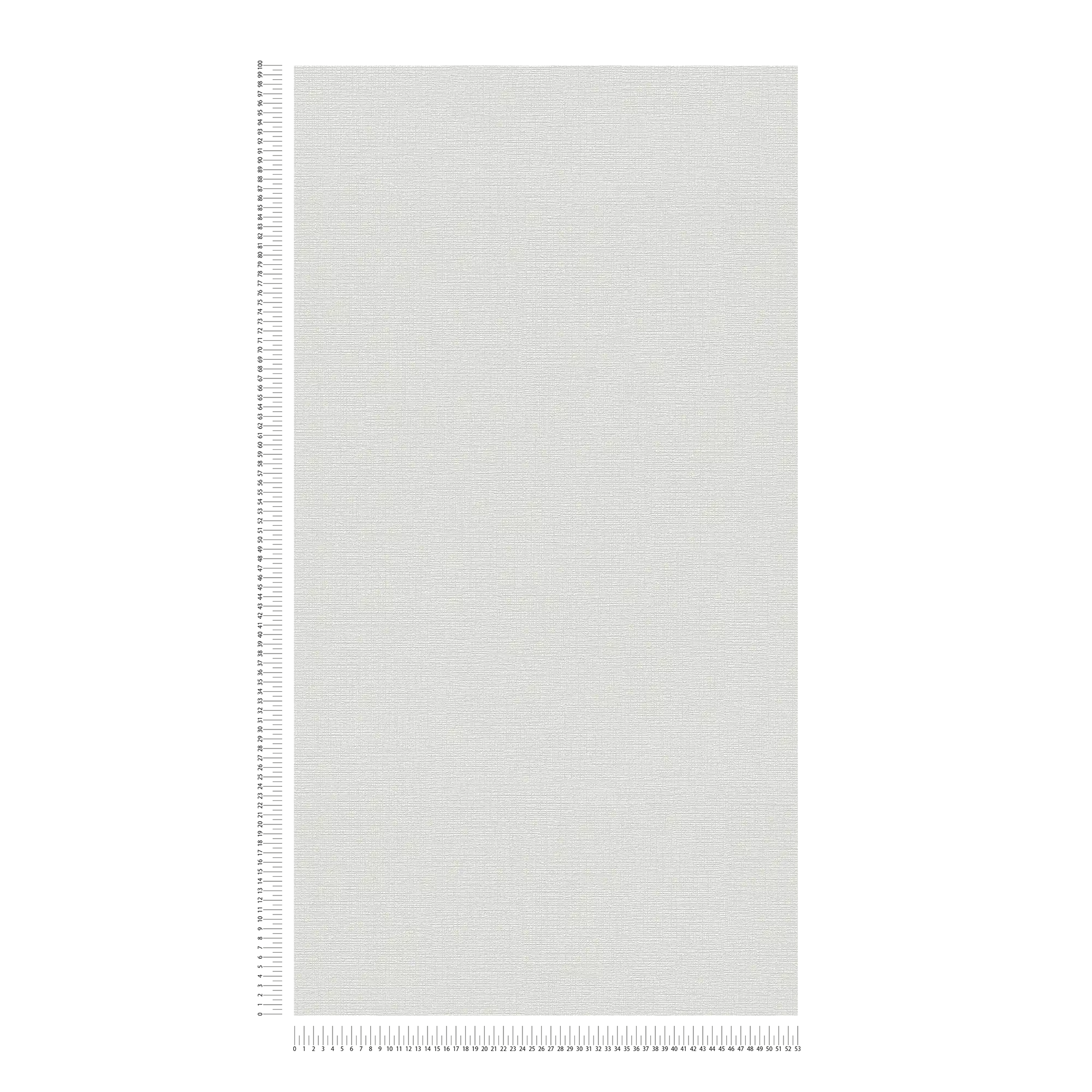             Papier peint gris clair avec motif mousse uni
        