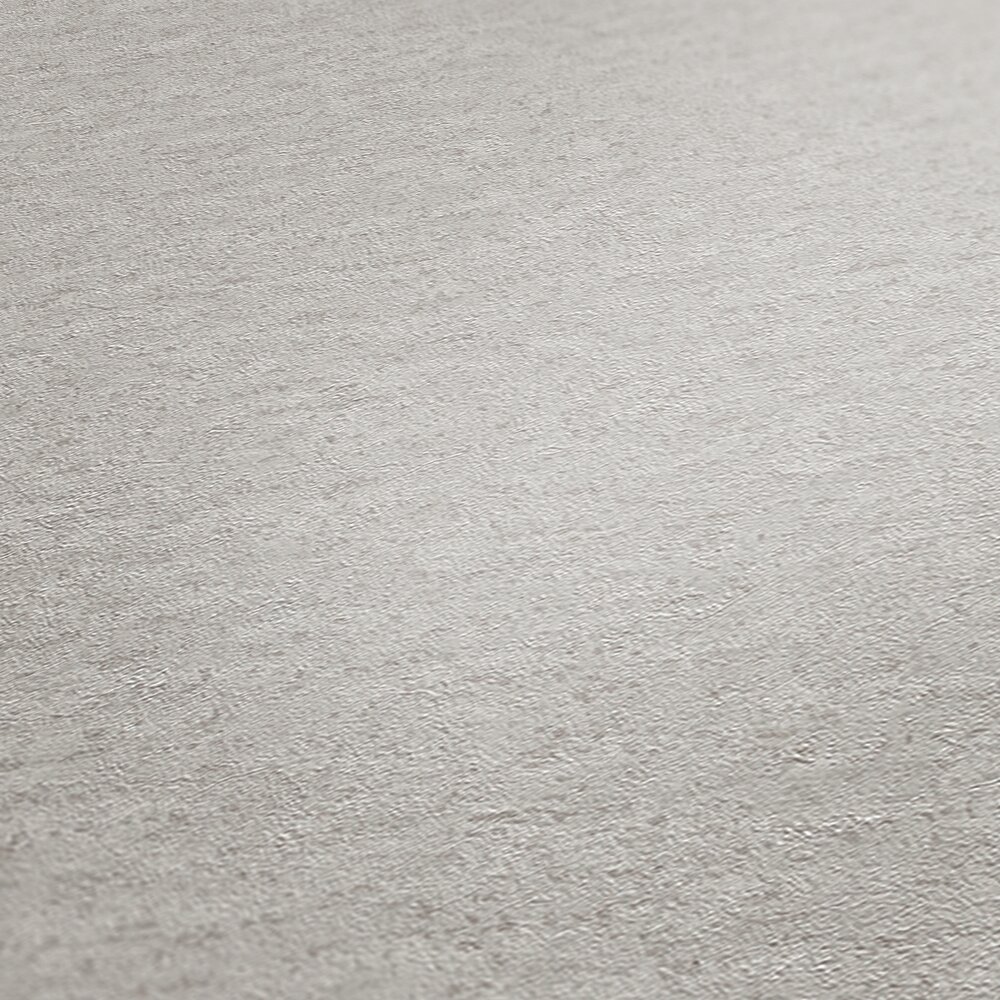             Daniel Hechter non-woven wallpaper with a concrete look in simple colours - grey, light grey
        