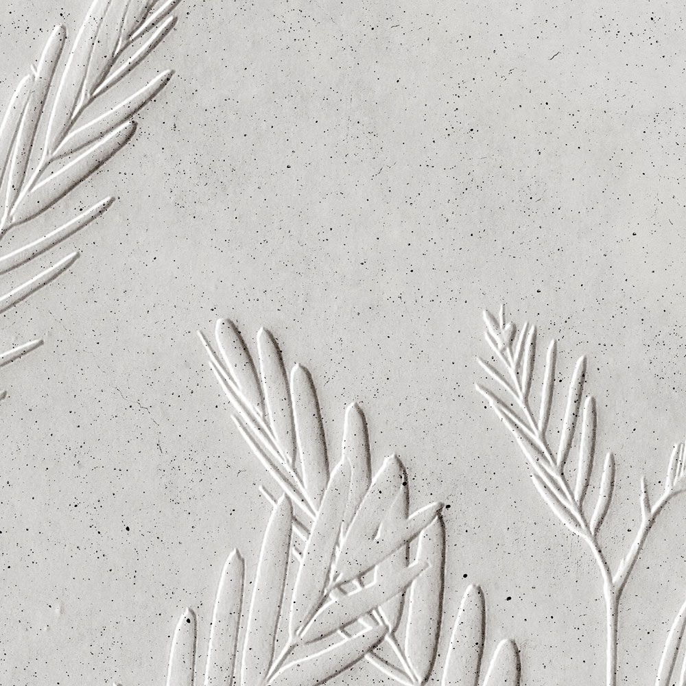             papier peint en papier panoramique »fern« - feuilles de fougères devant une structure d'enduit de béton - clair | Intissé mat et lisse
        