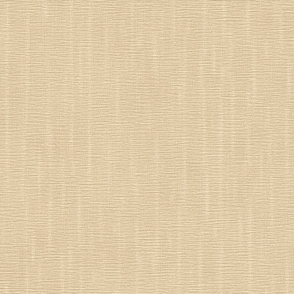             Papel pintado VERSACE beige liso con estructura en relieve
        