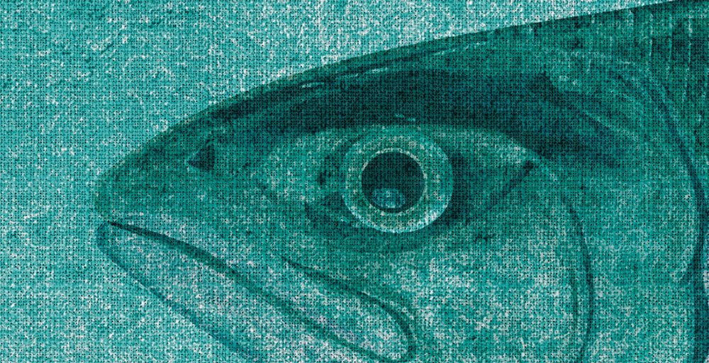             Into the blue 2 - Acuarela de peces en verde como papel pintado fotográfico - estructura de lino natural - gris, verde | nácar liso
        