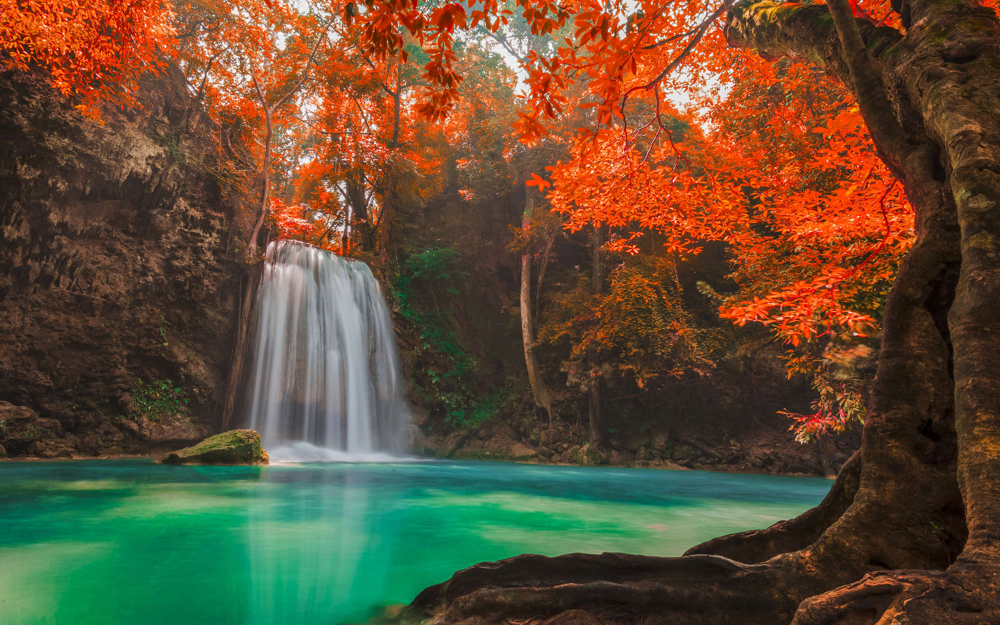             Carta da parati natura Cascata nella foresta - Madreperla in tessuto liscio
        