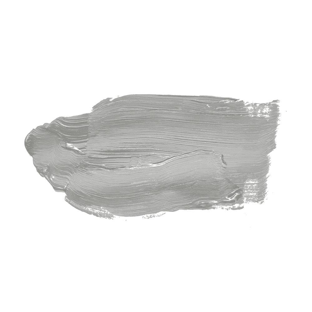             Pintura mural TCK1004 »Shady Spice« en gris frío – 2,5 litro
        